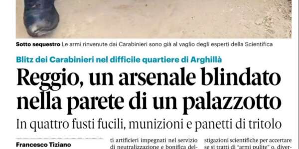 Rassegna stampa 29-01-2025 edizioni Calabria