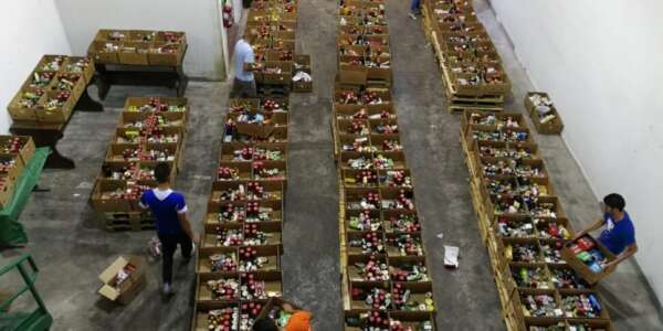 Banco alimentare della Calabria in prima linea per il recupero delle eccedenze