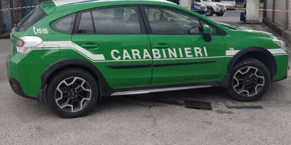 Forestali calabresi, manca l’intesa sul contratto: scatta lo stato d’agitazione
