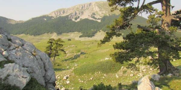 Castrovillari, il Parco del Pollino è pronto a potenziare l’organico
